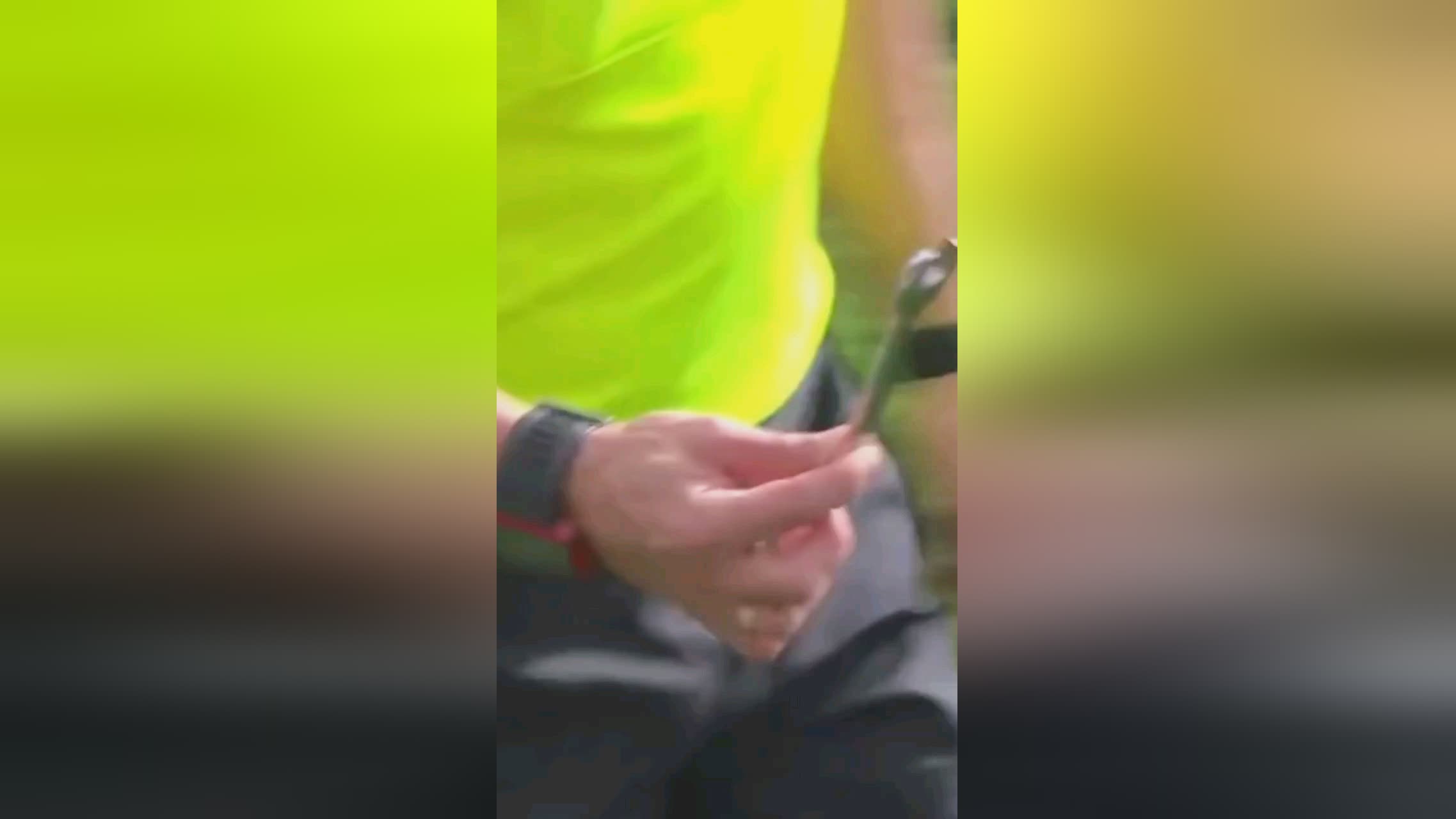 用在讨论埃